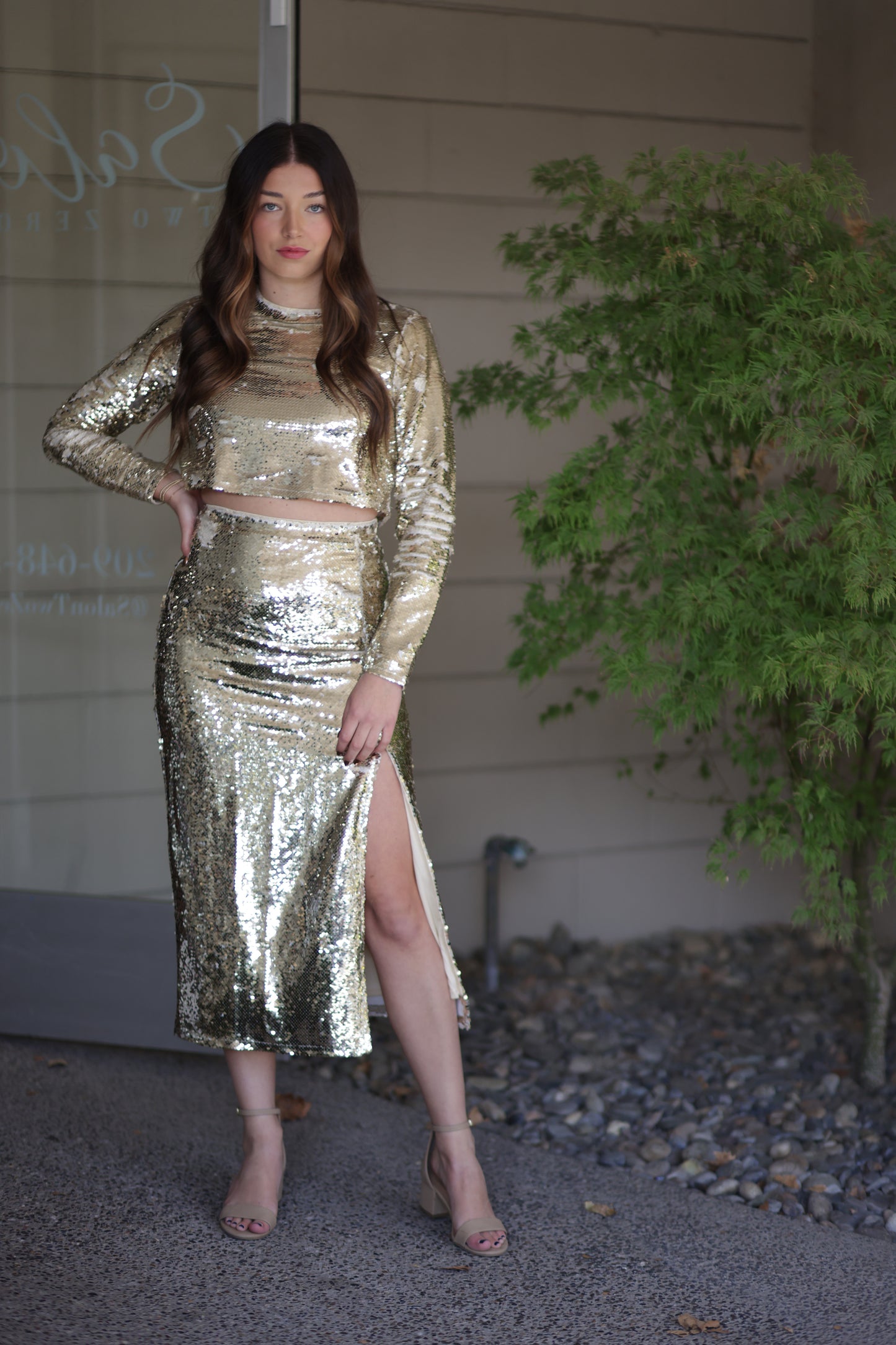 Aria Sequin Long Sleeve Top - More Colors!