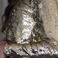 Aria Sequin Long Sleeve Top - More Colors!
