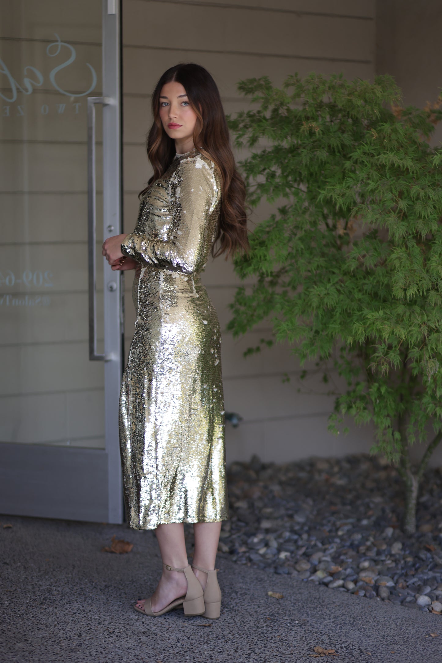 Aria Sequin Long Sleeve Top - More Colors!
