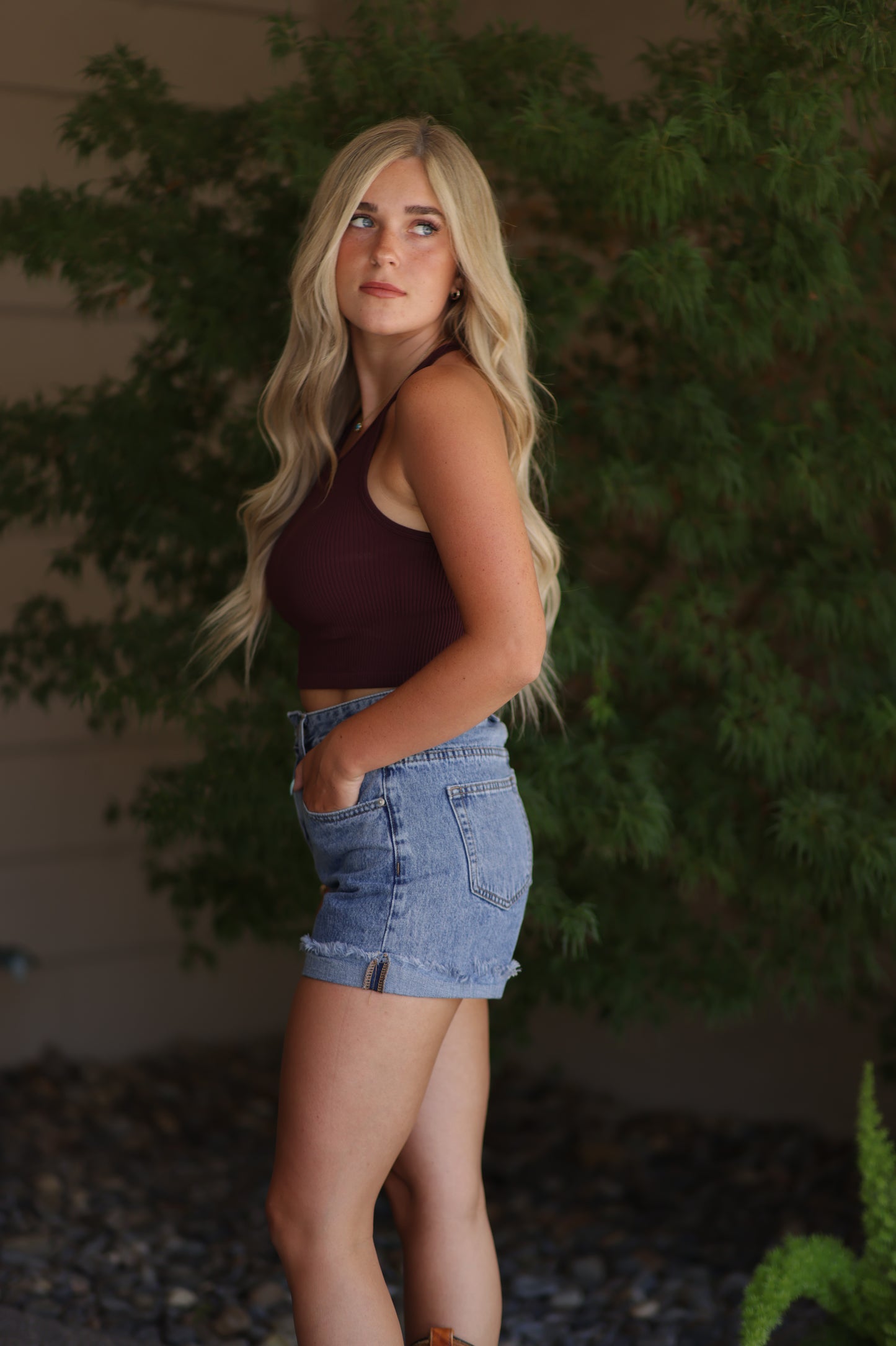 Sierra Denim Shorts
