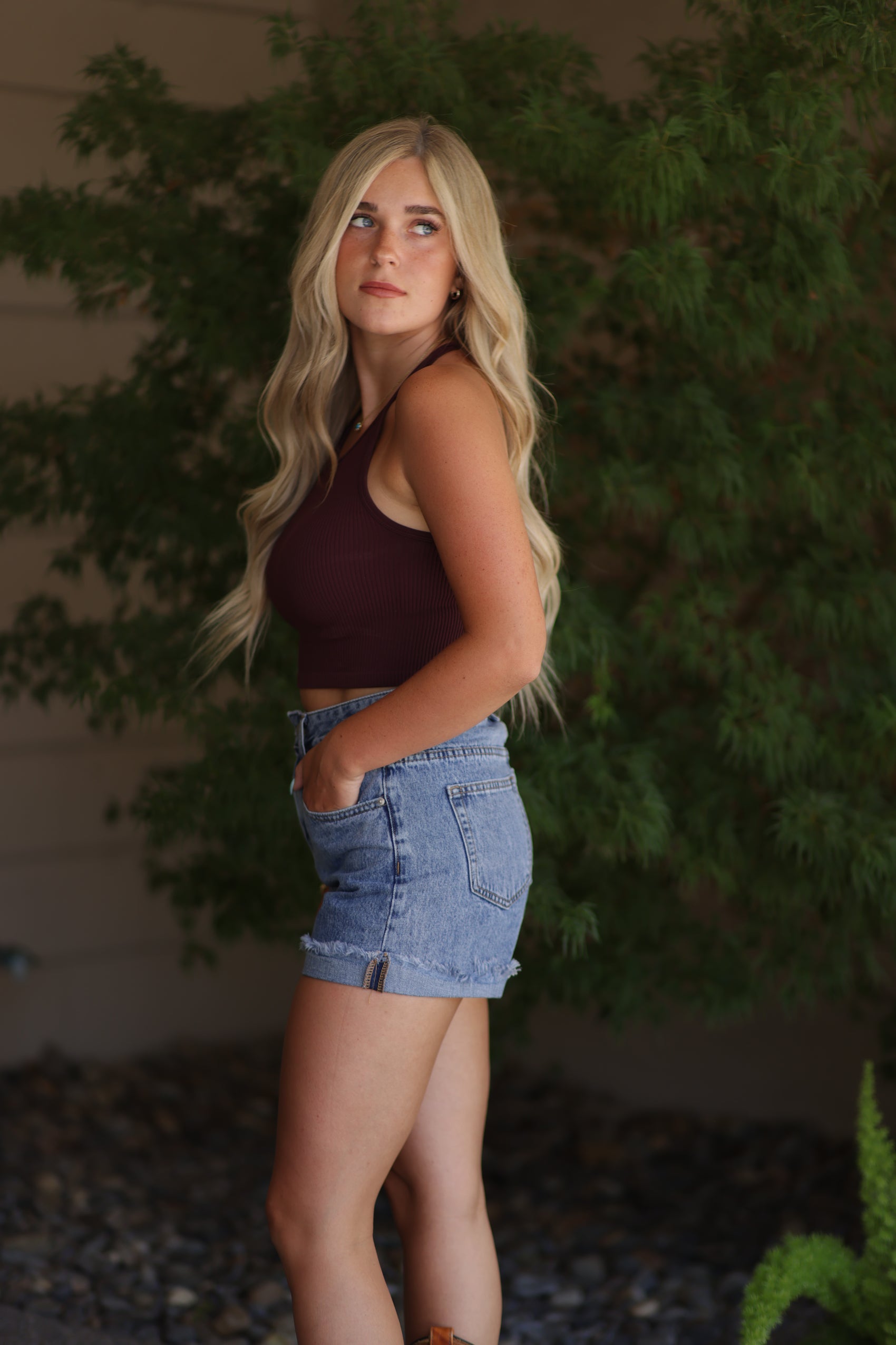Sierra Denim Shorts