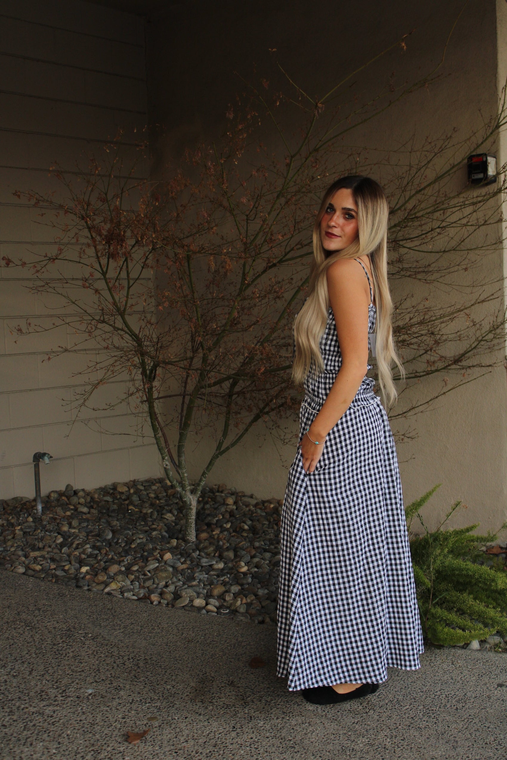 Dylan Gingham Maxi Dress