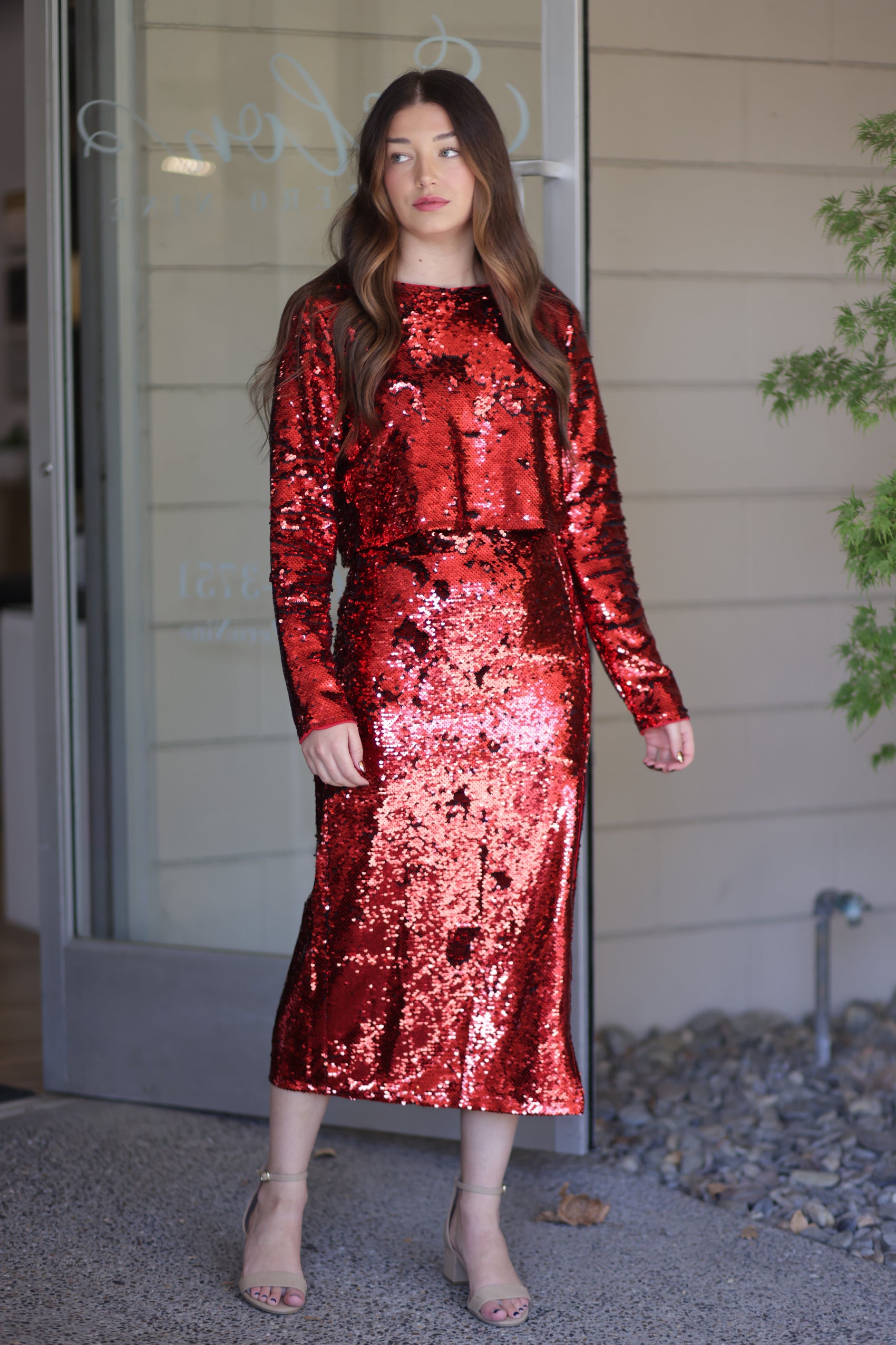 Aria Sequin Long Sleeve Top - More Colors!