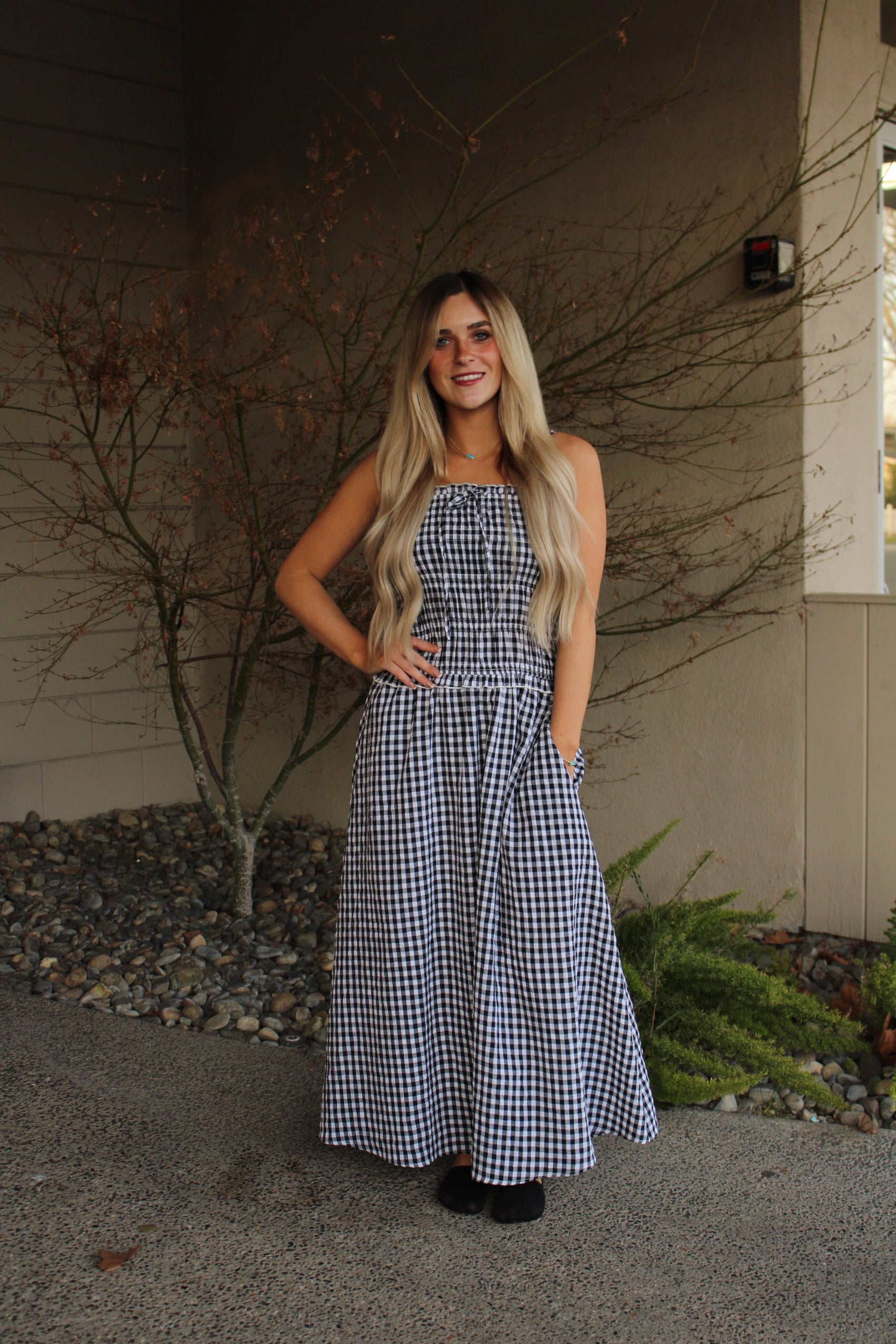 Dylan Gingham Maxi Dress